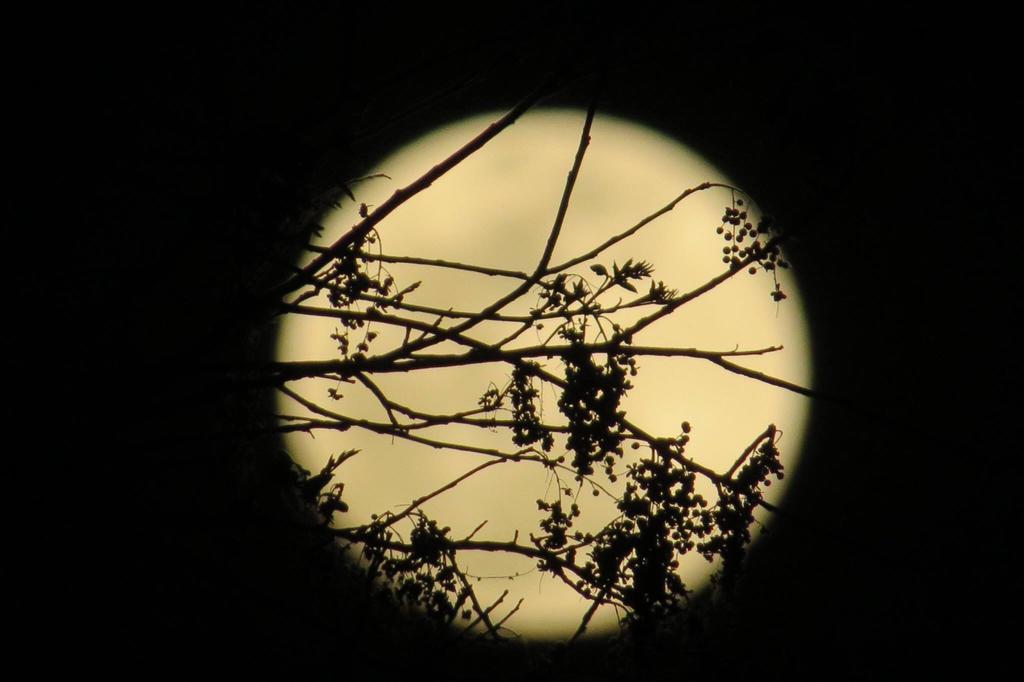 Pousada Luna Zen Pirenópolis 外观 照片